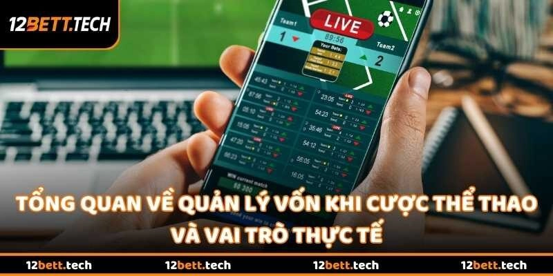 Tổng quan về cách quản lý vốn khi cược thể thao và vai trò thực tế